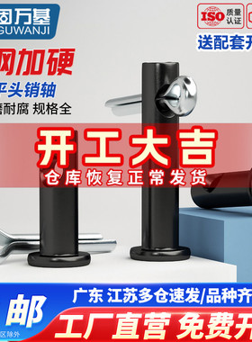 GB882铁黑色带孔销轴平头圆柱销销钉插销定位销M4M5M6M8M10M12M30