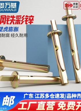 水泥墙快速壁虎膨胀钉插片壁虎敲击式膨胀螺丝打入式膨胀螺栓6mm