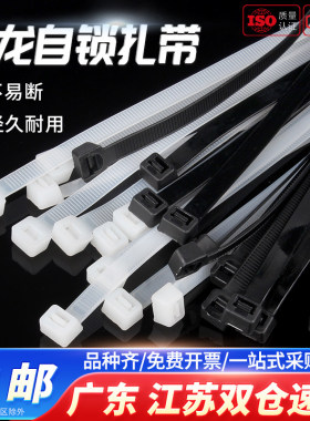 尼龙塑料扎带条卡扣黑白色束线带绳自锁式扎线带非标捆绑带固定器