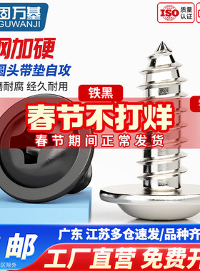 镀镍十字圆头带垫自攻螺丝钉铁黑盘头带介尖尾螺钉M1.7M2M3M3.5M4