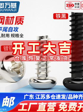 铁镀镍十字圆头平尾自攻螺丝PB盘头小螺钉M2/M2.3/M2.6/M3/M3.5M4