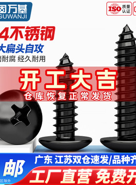 黑色304不锈钢十字大扁头自攻螺丝伞头圆头自攻钉木螺丝钉M3M4-M6