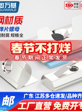 镀镍钢珠弹片螺母欧标铝型材配件20/30/40/45型弹簧螺帽M4M5M6/M8
