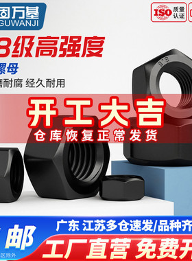 8.8级六角螺母高强度螺丝帽黑色螺栓帽M6M8M10M12M14M16M18M20M36