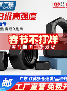 8.8级六角螺母高强度螺丝帽黑色螺栓帽M6M8M10M12M14M16M18M20M36