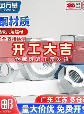 铁白锌六角螺母 镀锌螺丝帽 螺帽大全国标M2M3M4M5M6M10M12-M24