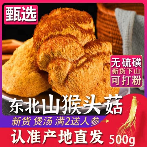 东北猴头菇养胃长白山煲汤