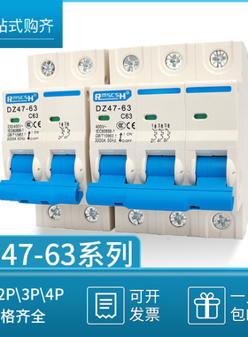 C45空气开关DZ47-63 1P 2P 3P 4P 小型断路器6A 10A 20A 32A 63A
