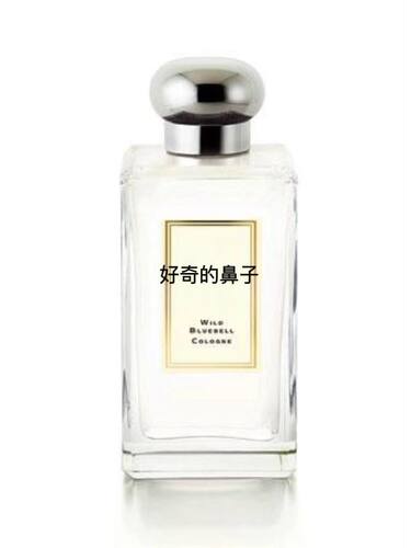 蓝风铃鼠尾草英国黑莓白茉莉