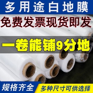 农用保温湿除草黑色白色地膜果园老化大棚银黑膜草莓种植塑料薄膜