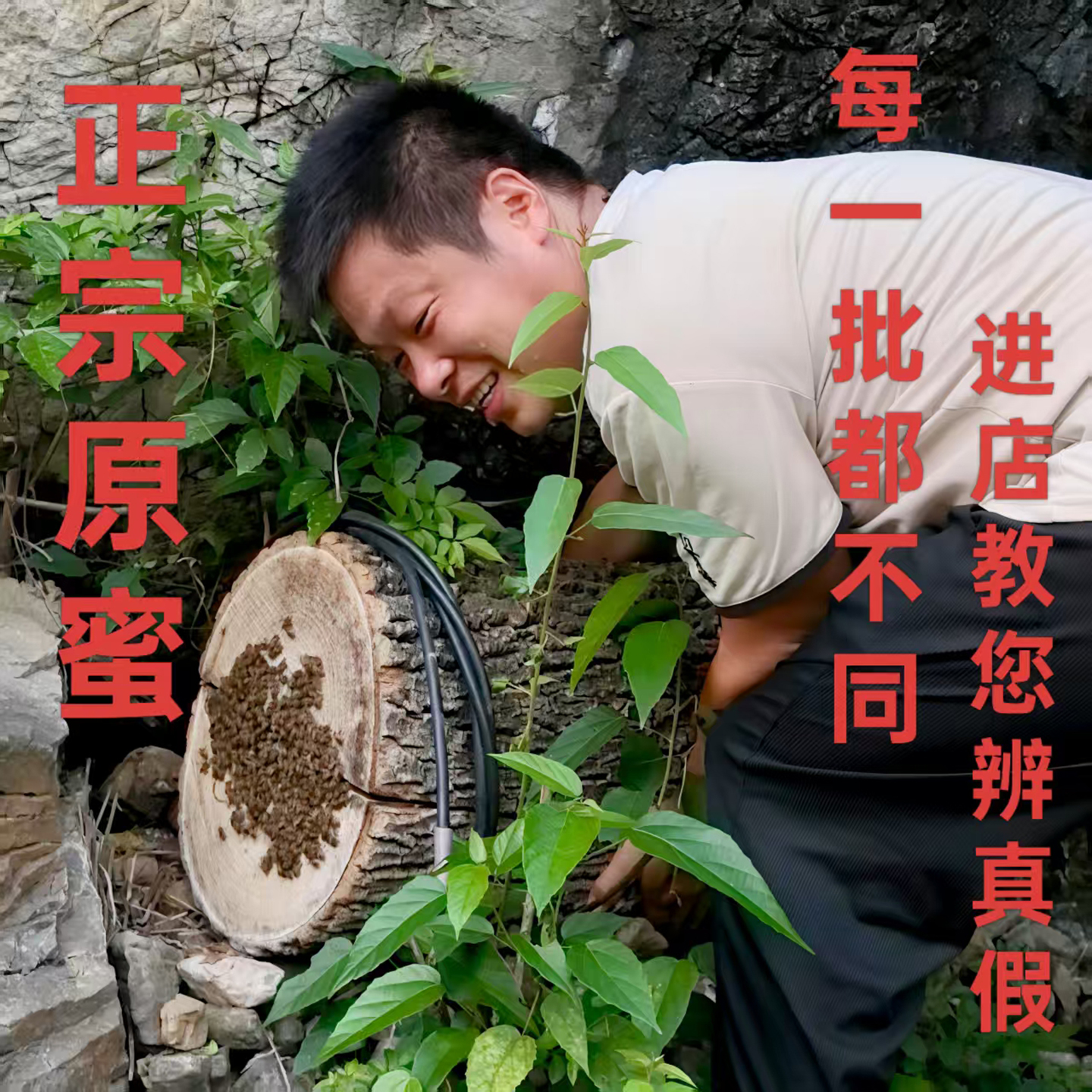 蜂蜜纯正天然野生蜂巢农家自销土蜂蜜贵州正品木桶原蜜百花纯蜂蜜