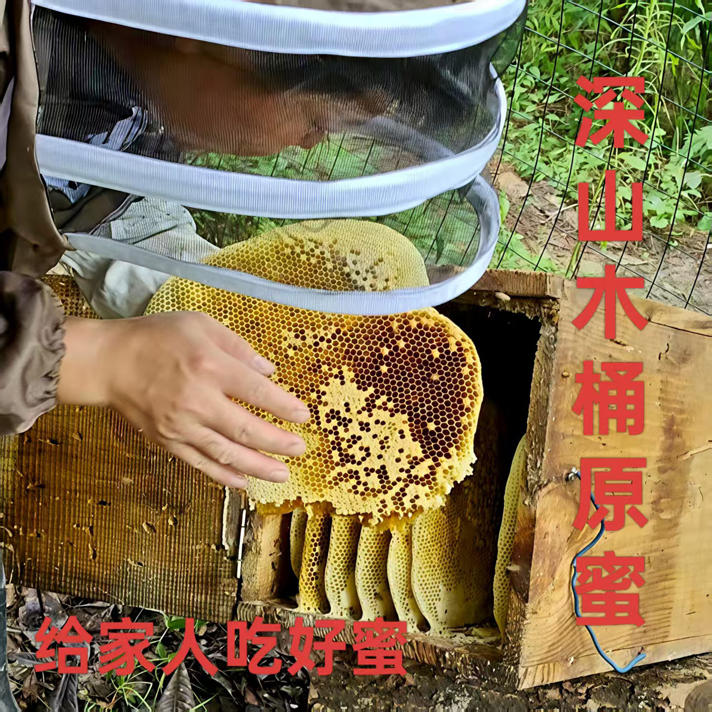 野生土蜂蜜农家自销贵州深山正品木桶原蜜百花蜜正宗成熟纯天然蜜