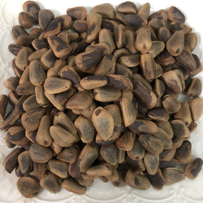 2025天然林红松 大松子 原味开口熟松子笨炒松子坚果炒货 500g