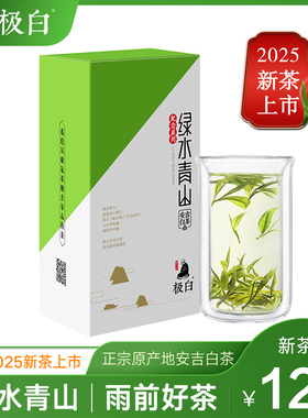 2025新茶绿茶上市极白安吉白茶纪念款绿水青山一级45克春茶茶叶
