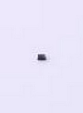 BAS5202VH6433XTMA1 肖特基二极管 电压:45V 电流:750mA SC-79-2