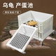 乌龟产蛋池网格大号挂式 繁殖盒沙盒沙池盆宠物龟下蛋发色盒专用箱