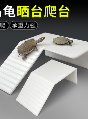 Q宠天下巴西龟缸晒背台乌龟箱爬坡爬台浮岛浮台躲避休息龟池造景