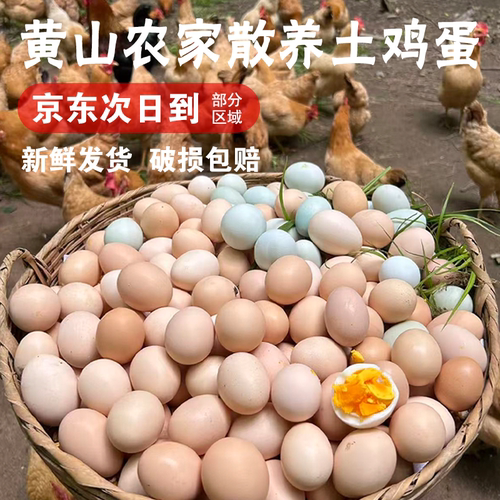 黄山农家散养土鸡蛋正宗新鲜整箱