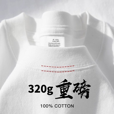 品牌折扣~外贸专柜海外撤回奥特莱斯重磅纯棉纯色新款舒适短袖T恤