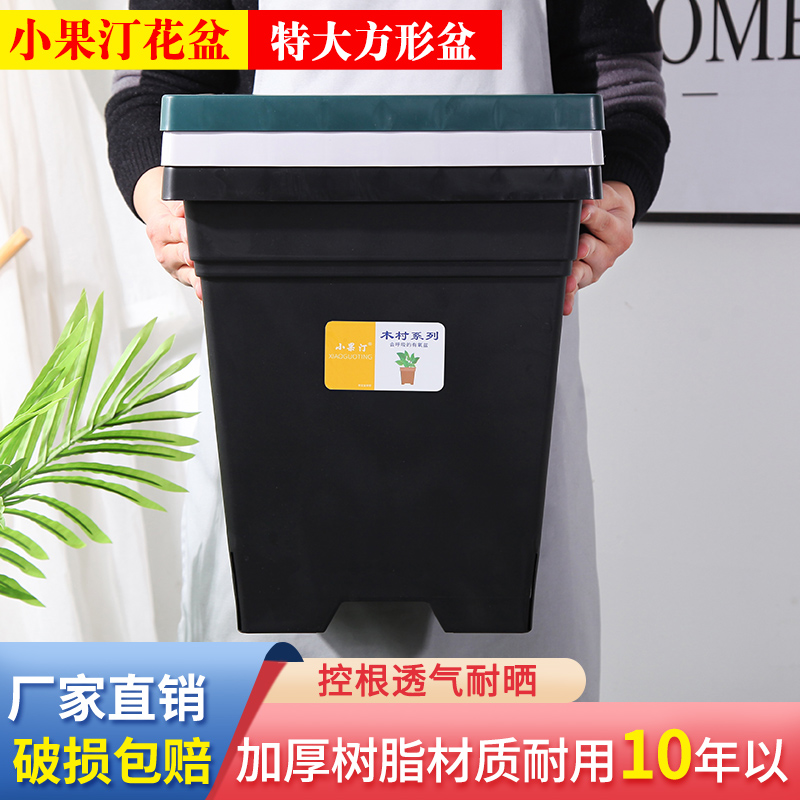 小果汀方形青山控根塑料花盆透气