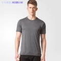 CE6231