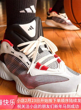 Adidas Pro Ventilate Low 男子缓震耐磨团队款篮球鞋JH5837 5838