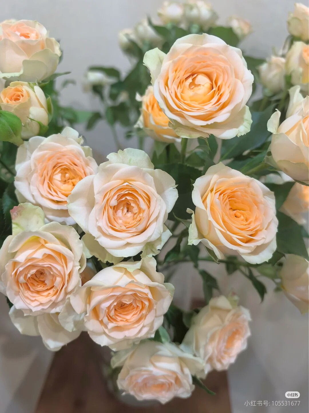 上海快递,鲜花多头玫瑰百香果10支