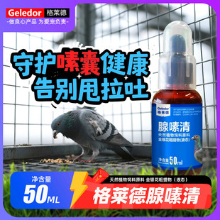 鸽子鹦鹉鸟吐食甩食非鸽药腺病毒嗉囊炎积食消化不良格莱德腺嗉清