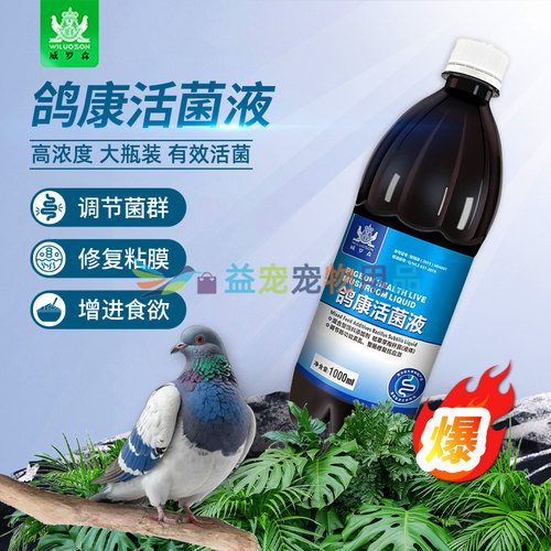鸽子专用活菌王益生菌调节肠道促进消化粪便成型鸽康活菌液非鸽药
