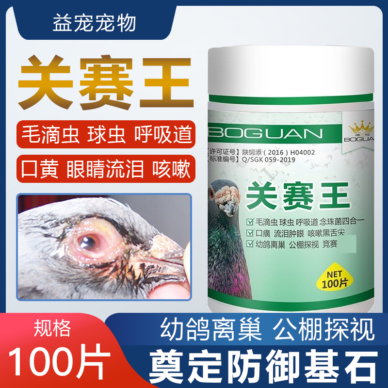 呼吸道球蟲單關鴿子藥常見病信鴿