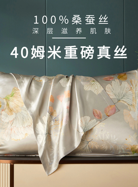 40姆米印花100%桑蚕丝6A级真丝枕头套48X74cm单只一对礼盒装