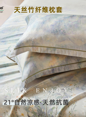21°自然凉感 丨高端A类天丝竹纤维抗菌枕套家用一对装48*74cm