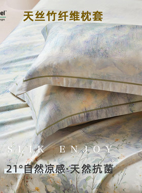 21°自然凉感 丨高端A类天丝竹纤维抗菌枕套家用一对装48*74cm