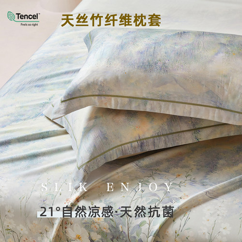 21°自然凉感 丨高端A类天丝竹纤维抗菌枕套家用一对装48*74cm