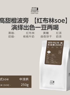 Marus马路咖啡 尼加拉瓜水洗橙波旁红布林SOE意式咖啡豆中浅烘