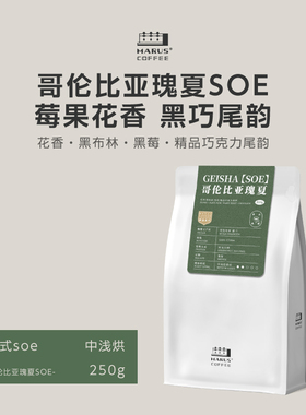 MARUS马路咖啡 哥伦比亚瑰夏SOE厌氧日晒单品意式咖啡豆美式拿铁