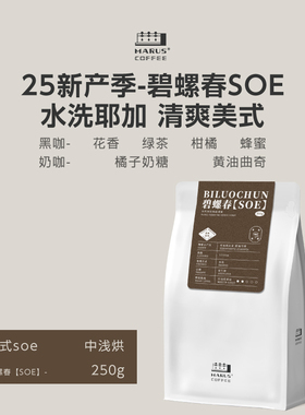 MARUS马路咖啡 25产季耶加雪啡水洗碧螺春SOE意式咖啡豆 中浅烘焙