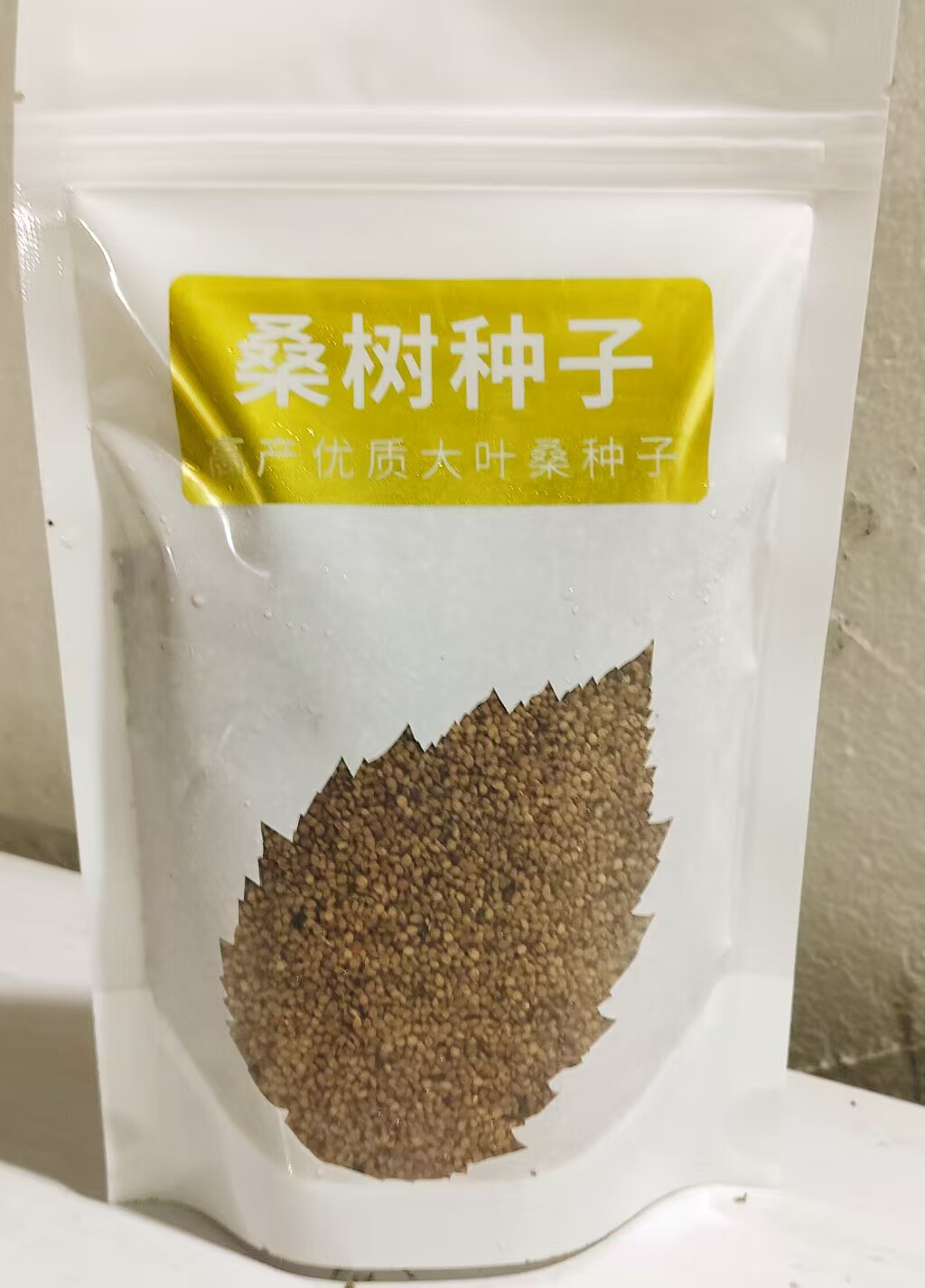 强桑5号桑树种子干净无杂质快递包邮,四季易播种,包发芽。