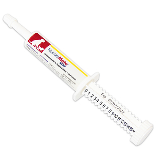 柴犬嘻嘻 美国进口NurseMate添赐力宠物免疫增强膏牛初乳猫狗通用