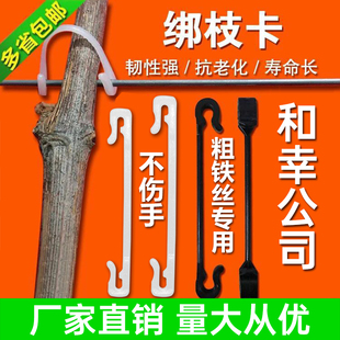新款 葡萄绑枝卡无花果卡子卡扣猕猴桃卡扣果树挂钩绑扎丝绿植 包邮