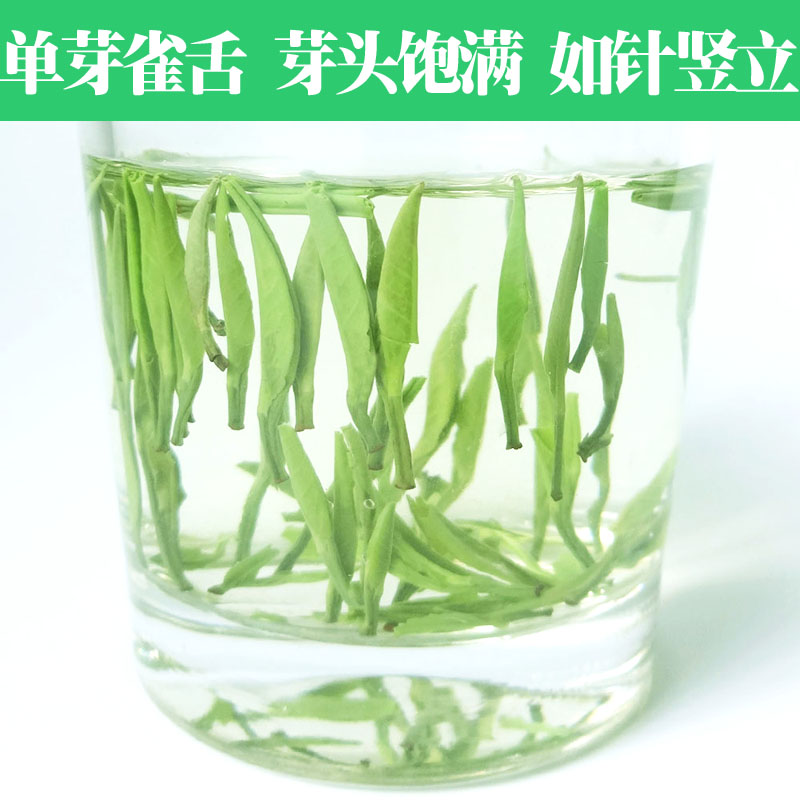 雀舌绿茶2024新茶绿茶叶春茶全芽高山茶湖南茶叶嫩芽石门银针200g