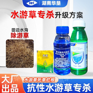 水游草专杀方案高效氟吡甲禾灵稻李氏禾草甘膦游草芦苇茅草除草剂