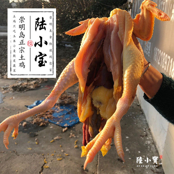 崇明正宗老母鸡 土鸡 农家散养老鸡 童子鸡 月子鸡草鸡顺丰