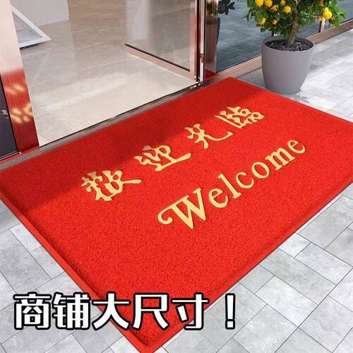 地垫进门脚垫入户门垫PVC丝圈地毯垫出入平安欢迎光临防滑垫家用