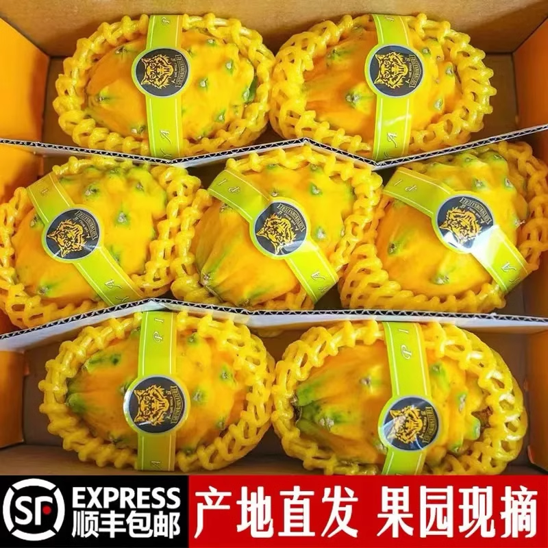 海南新鲜燕窝果稀有麒麟果