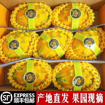 海南新鲜燕窝果稀有麒麟果