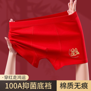 本命年大红色纯棉男士平角内裤抗菌裆透气好运青少年新款四角短裤