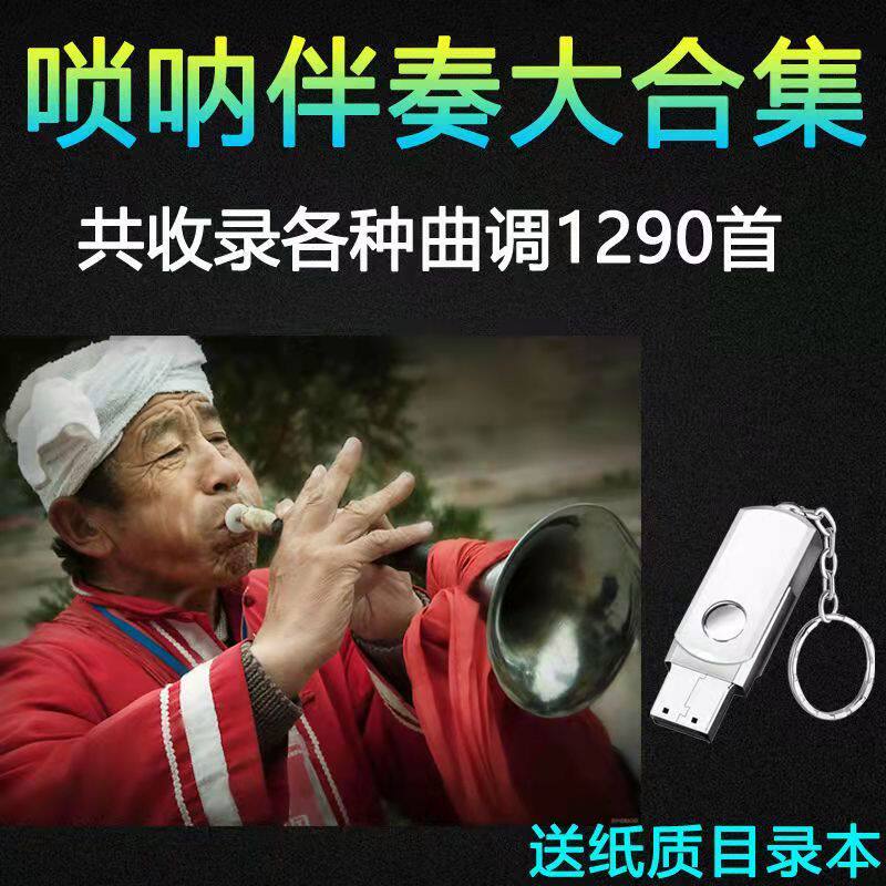 红白喜事用唢呐伴奏U盘 吹唢呐初学者备 电子琴唢呐伴奏MP3