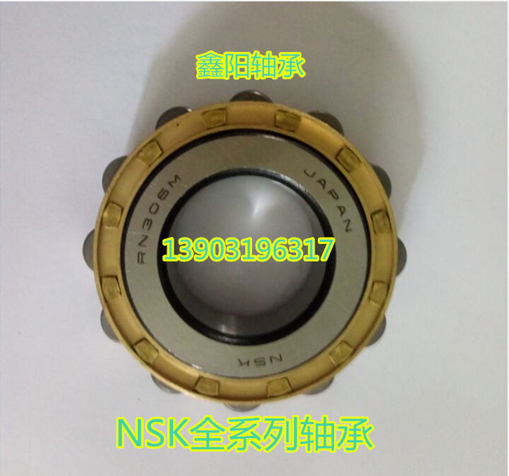 日本NSK减速机轴承RN204 205 206 207 208 209 307 308 309 312M
