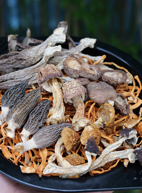 海伶山珍 | 风味菌汤包70G羊肚菌鹿茸菇姬松茸土特产煲汤营养食材